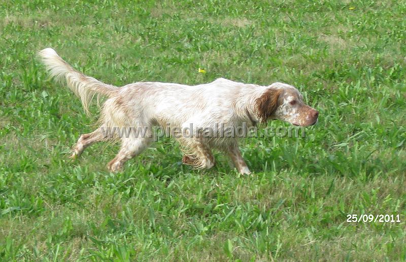 IMG_6153.jpg - Mozo en muestra