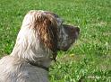 IMG_6151