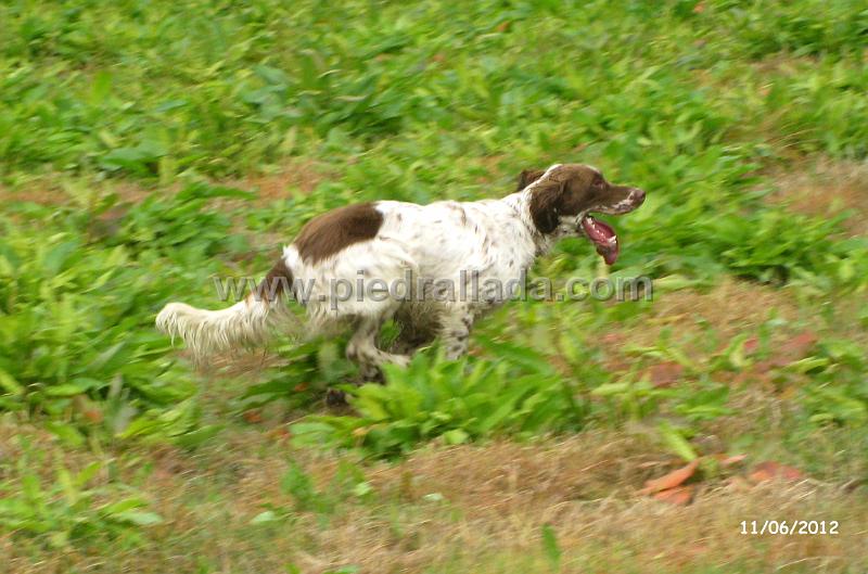 IMG_7354.JPG - Olga en galope