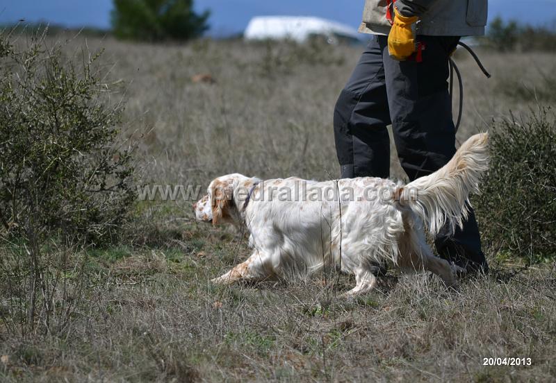 DSC_5489.jpg - Sirviendo la muestra en Camposagrado