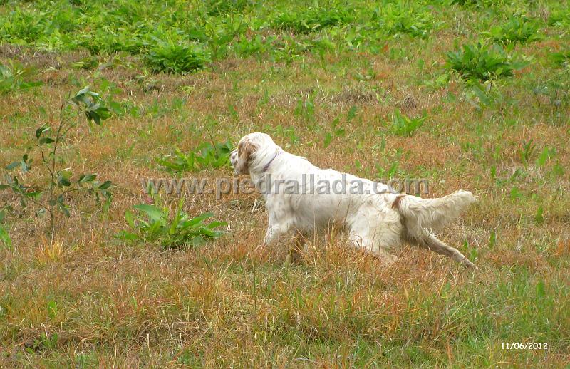 IMG_7345.JPG - En muestra