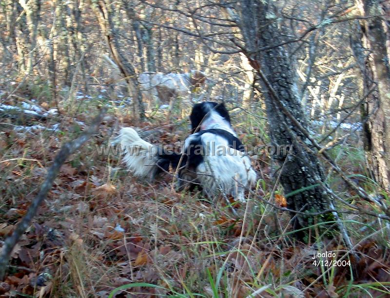 roscales_3650.jpg - ROSCALESEcora y Tali