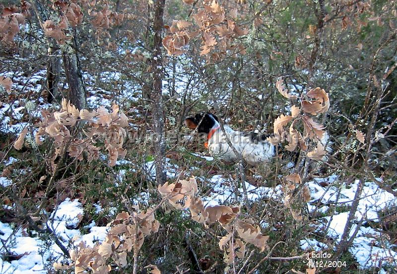roscales_3658.jpg - ROSCALESTali con becada