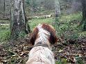 Sueve_3878