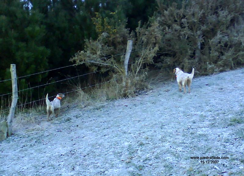 102_0122.JPG