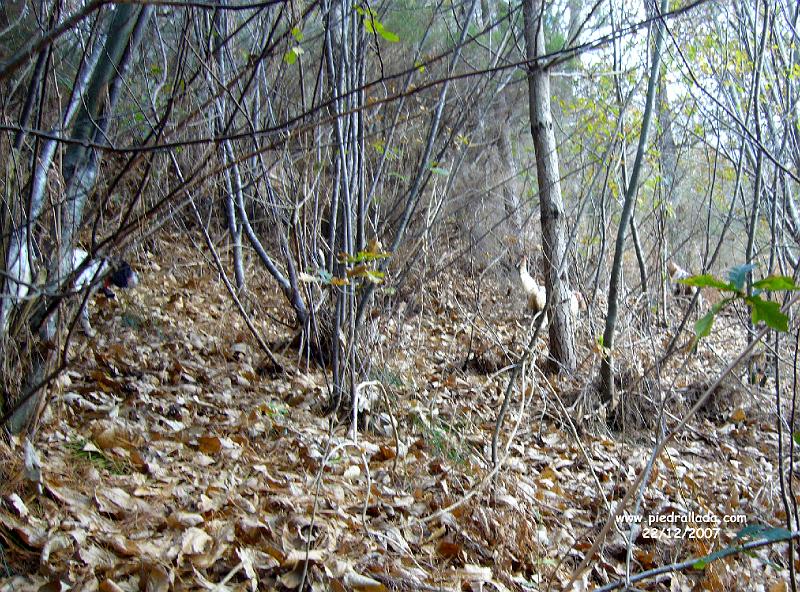 102_0160.JPG