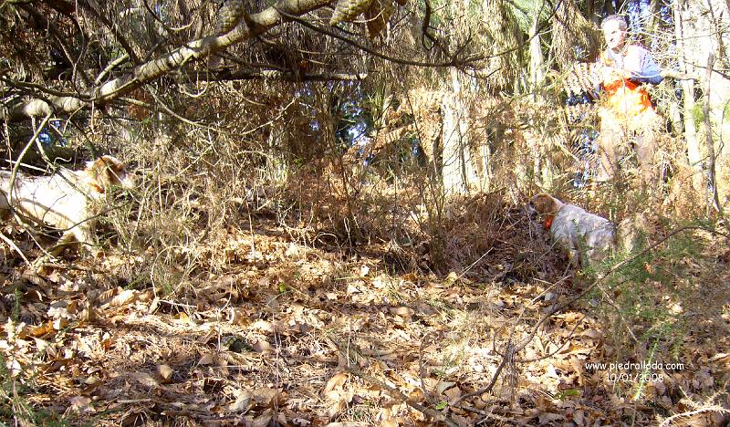 102_0304.JPG