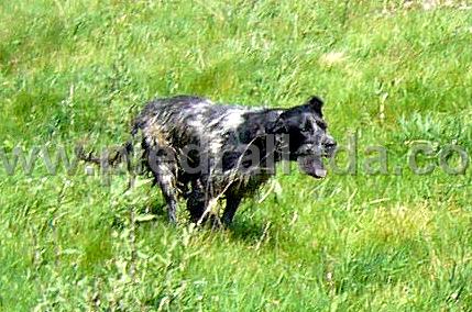 102_0495.JPG - Bilbo al galope