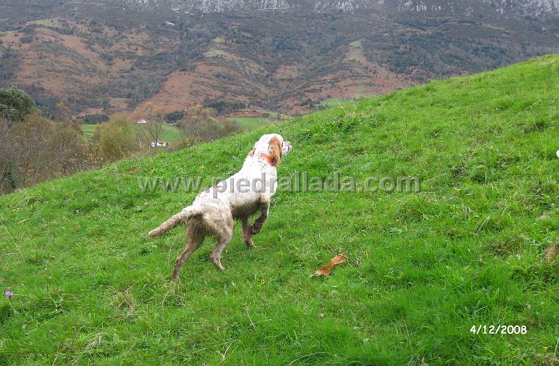 IMG_1031.JPG - Lupo,poniendo un caliente de arcea