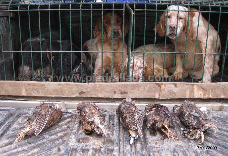 IMG_1303.JPG - Una buena mañana