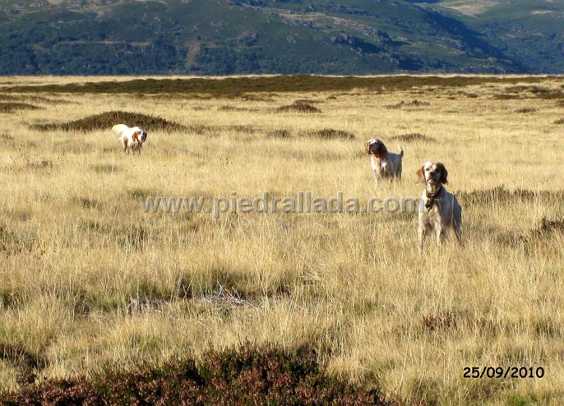 IMG_4476.JPG