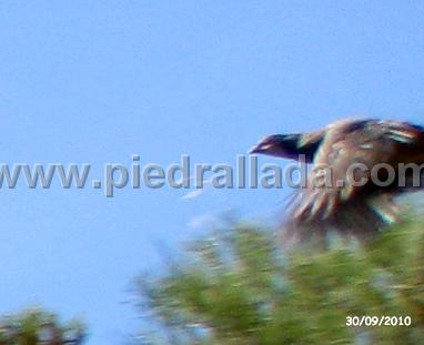 IMG_4563.JPG