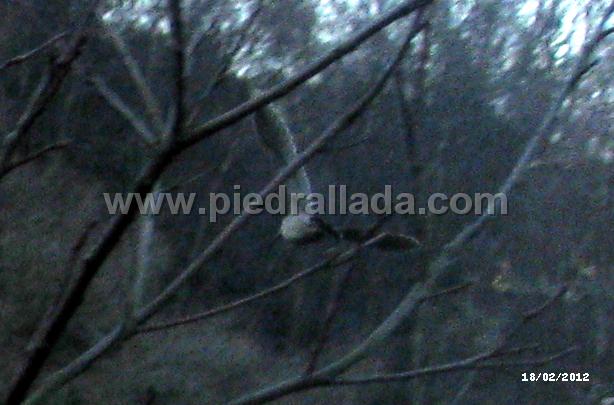 IMG_6863.JPG - ¡¡¡¡¡Ahí va !!!!!!