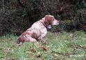 IMG_6789