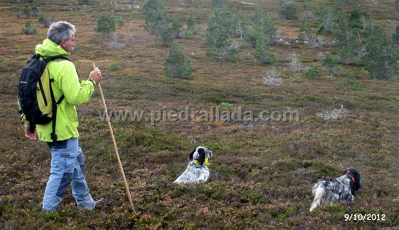 IMG_8076.JPG - Sirviendo la muestra: Bilbo y Cora de Javier