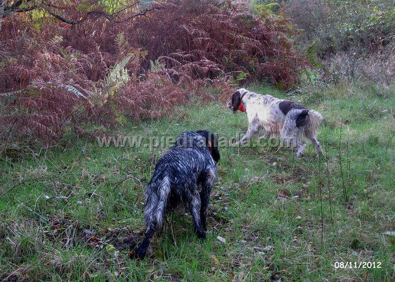 IMG_8222.JPG - Olga y Bilbo con becada