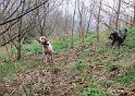 IMG_1242